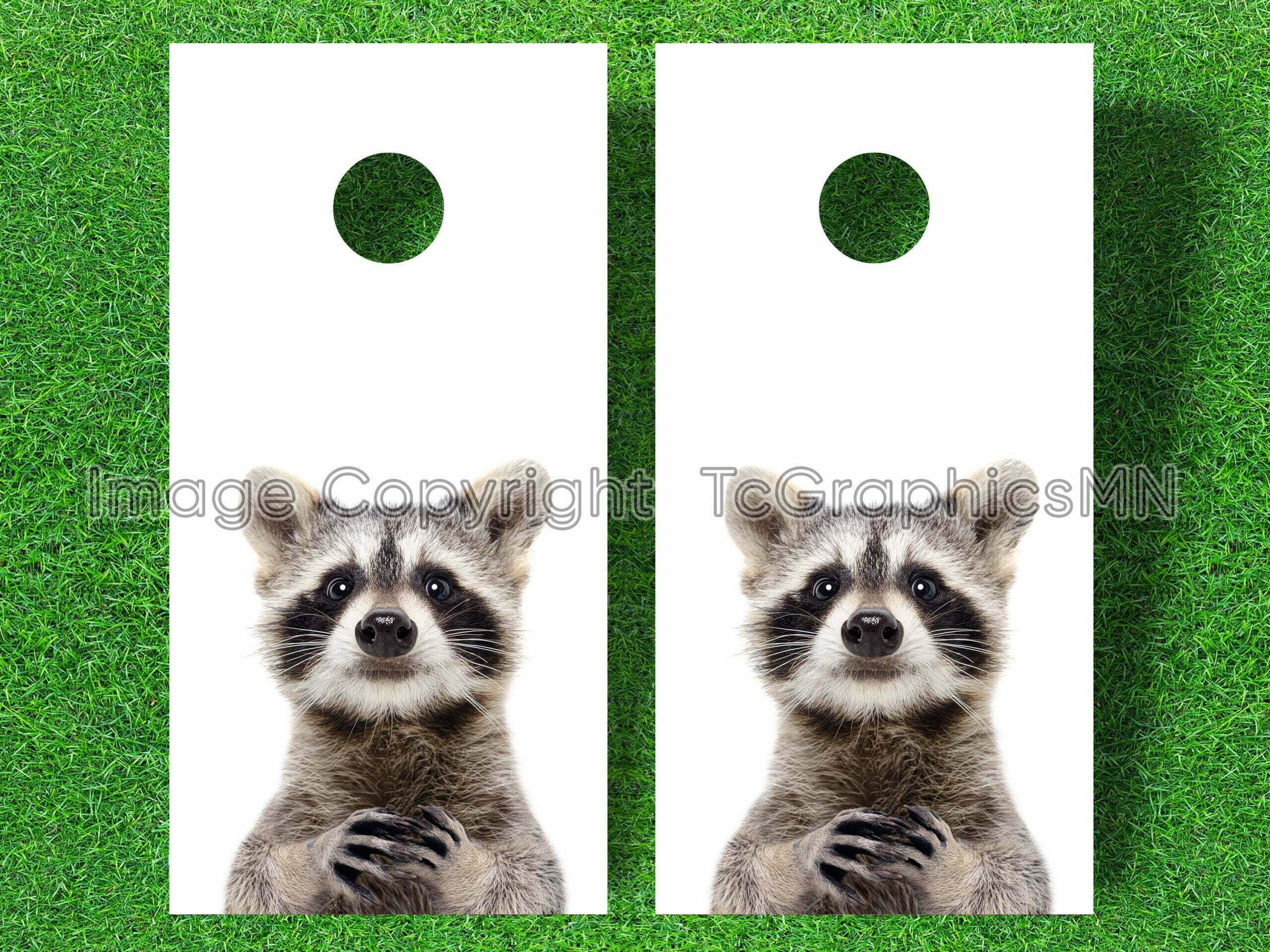 Curious Racoon Cornhole Decal
